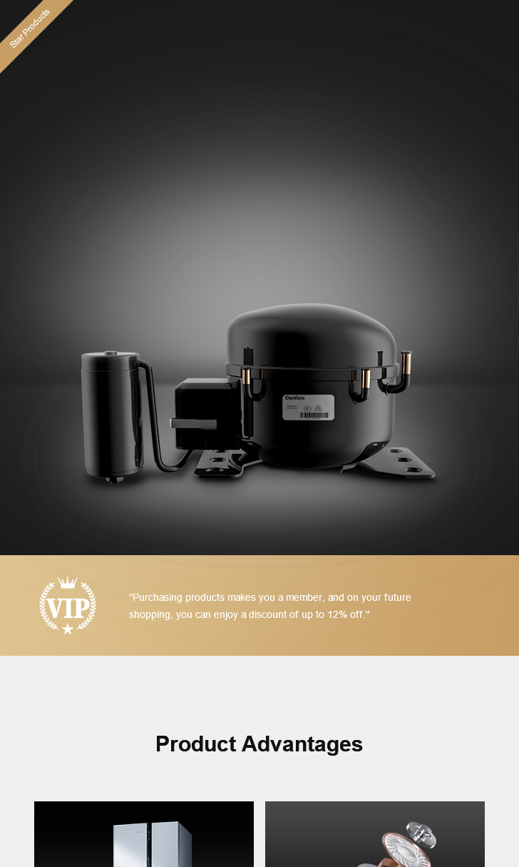 Danfoss Compressor B52C0L, technical parameters pdf, structure diagram